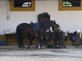 Spanje 2010 298